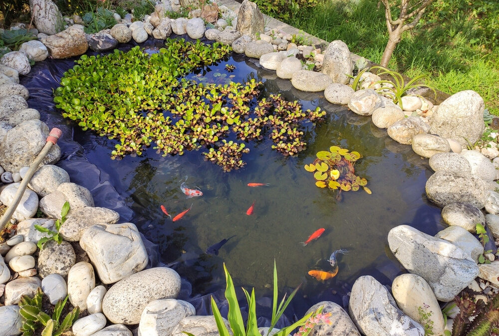 A kerti tó alapja – Miért a fólia a legjobb választás a szigeteléshez?
