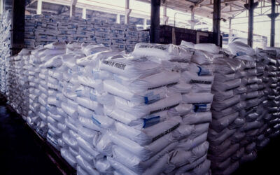 Miért a vegyianyag nagykereskedelem az üzleti siker kulcsa 2026-ban?